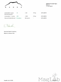 Żagwica listkowata (maitake) ekstrakt 100 kapsułek x 500mg
