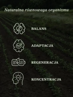 Ashwagandha krople