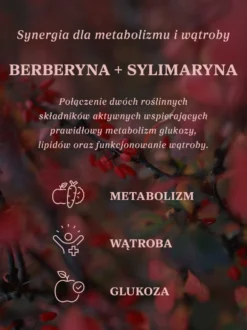 Berberyna z sylimaryną 100 kapsułek