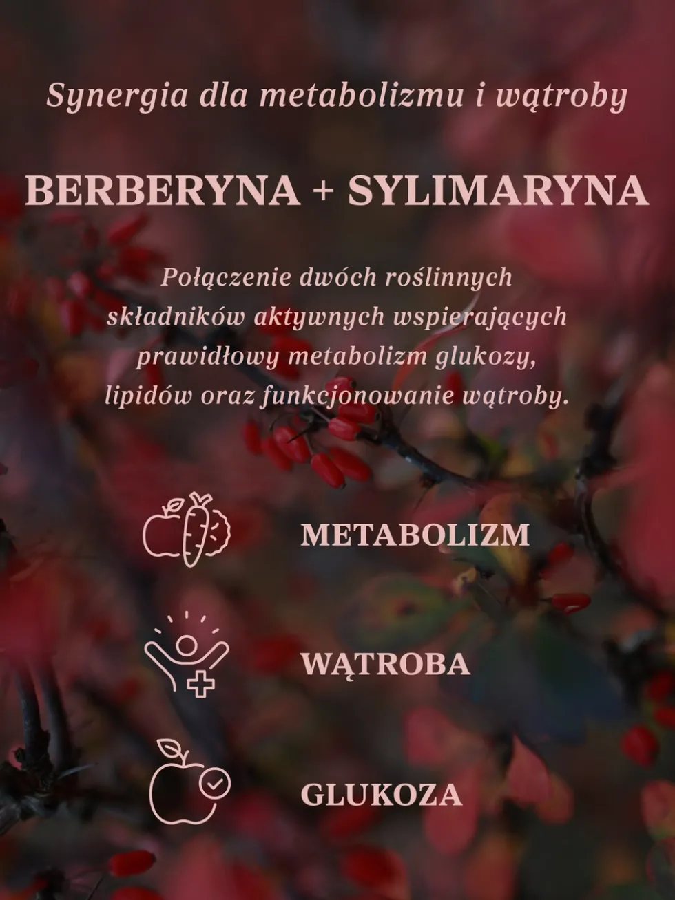 Berberyna z sylimaryną 100 kapsułek