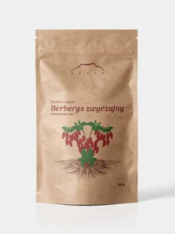 Berberys zwyczajny