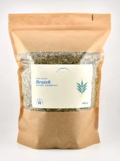 Bratek (Fiołek)