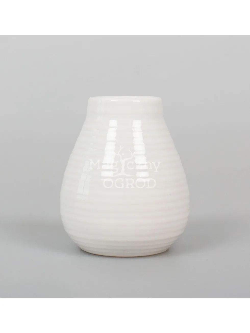 Calabaza 210ml