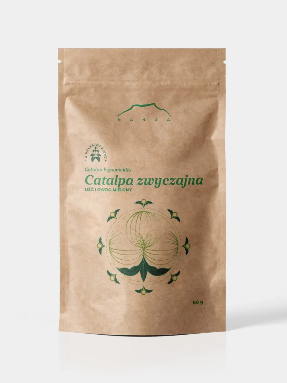 Catalpa zwyczajna