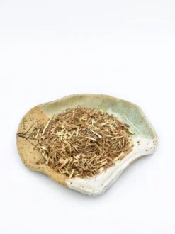 Chanca piedra ziele