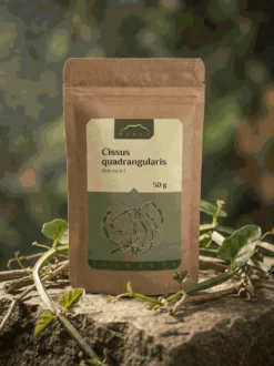 Cissus quadrangularis ekstrakt 4:1