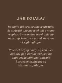 Czaga - guz brzozy