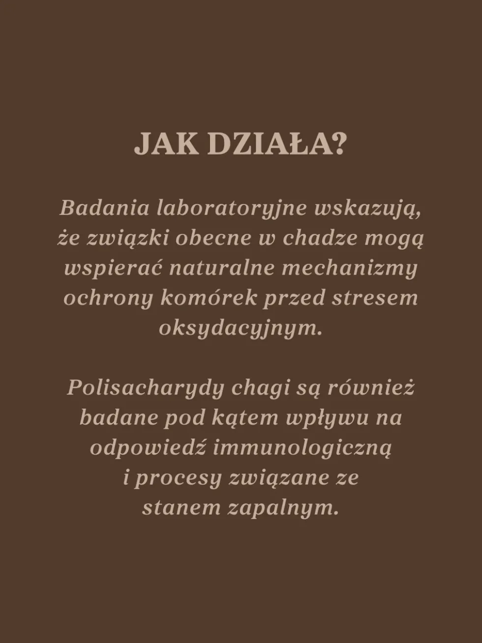 Czaga - guz brzozy