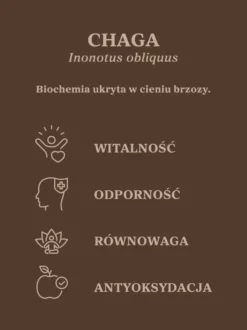 Czaga - guz brzozy