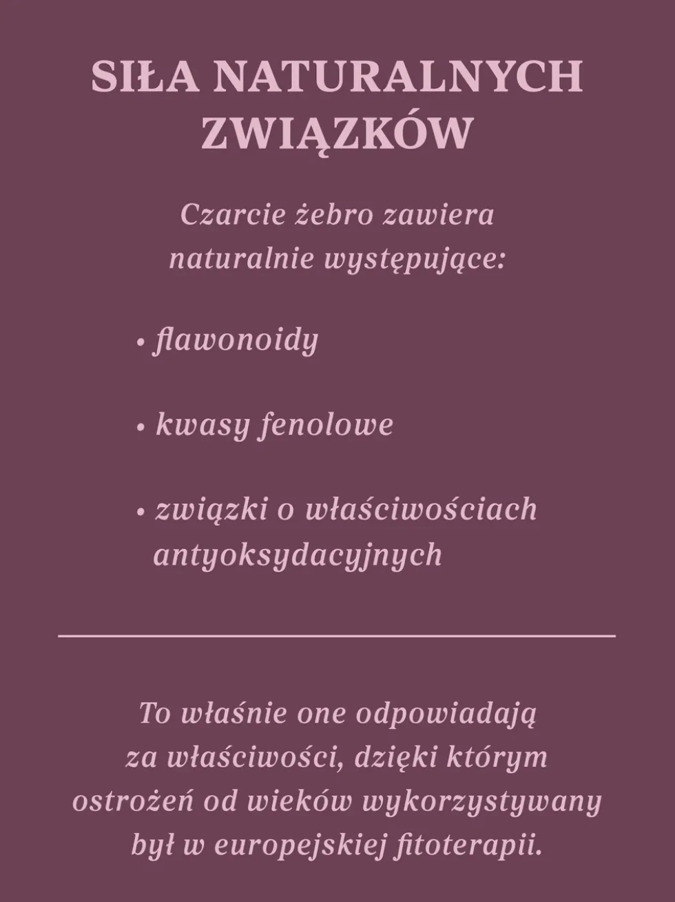 Czarcie żebro (ostrożeń warzywny) ziele