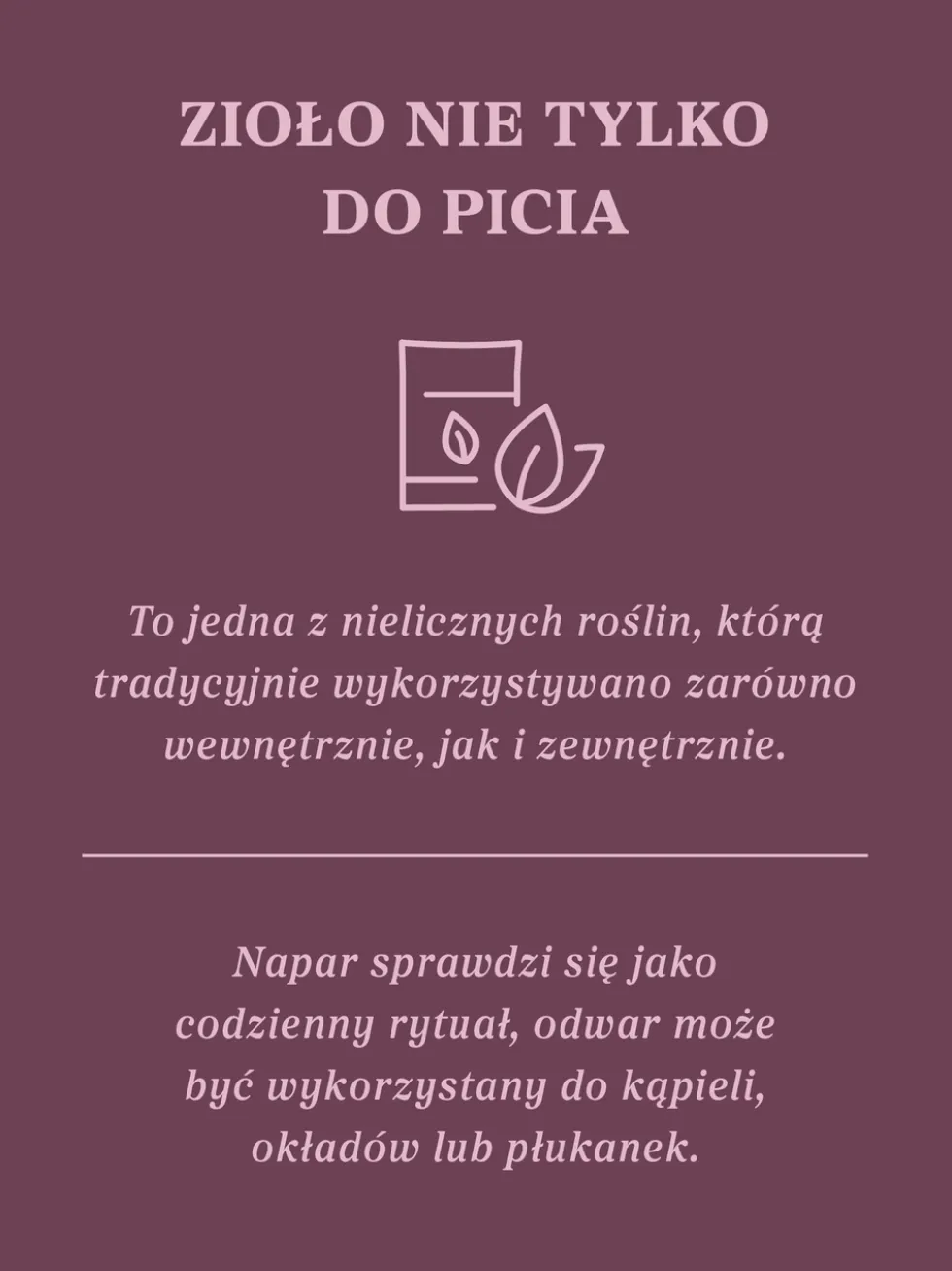 Czarcie żebro (ostrożeń warzywny) ziele