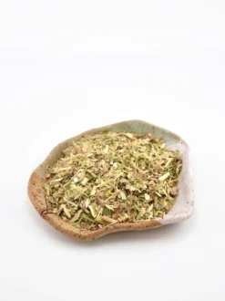 Czarny bez kora