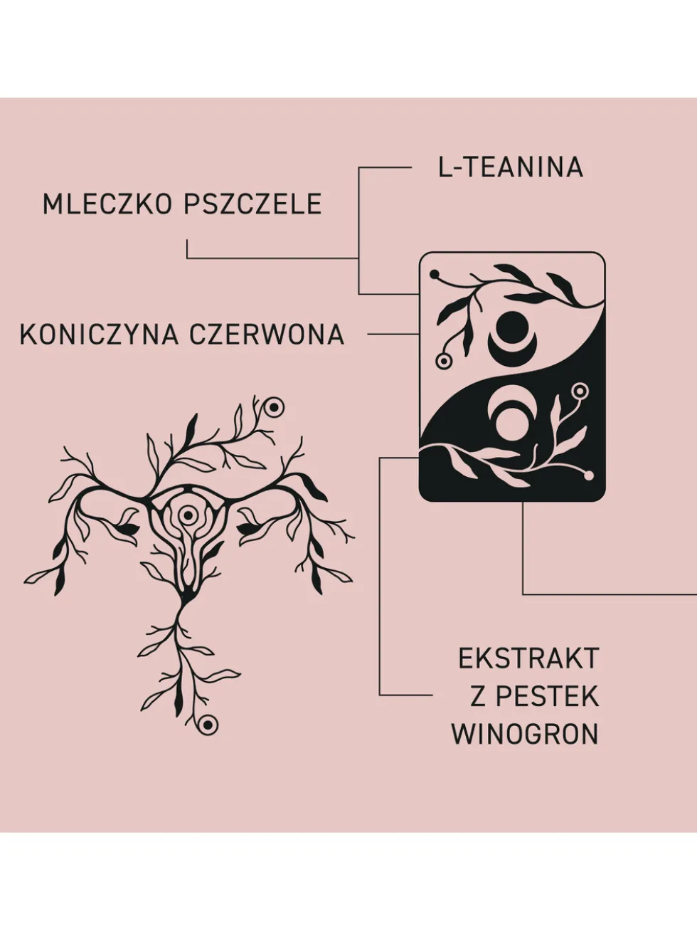 Demeter