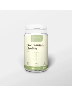 Dwuwinian choliny 100 kapsułek x 500 mg