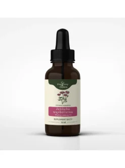 Echinacea angustifolia nalewka 1:1 50 ml