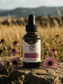 Echinacea angustifolia nalewka 1:1 50 ml