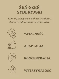Żeń-szeń syberyjski kapsułki x 400 mg