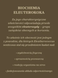 Żeń-szeń syberyjski kapsułki x 400 mg