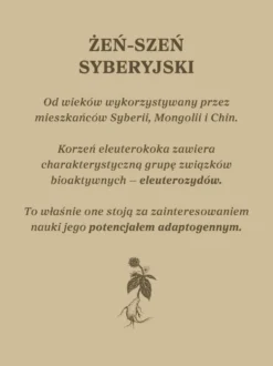 Żeń-szeń syberyjski nalewka 1:1