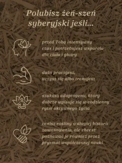 Żeń-szeń syberyjski nalewka 1:1