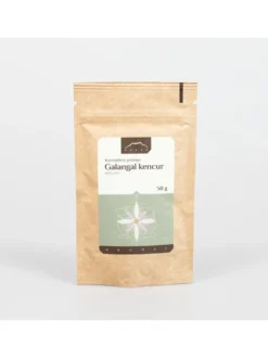 Galangal kencur