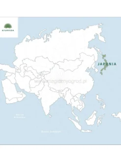 Herbata zielona - Gyokuro Yutaka Japan