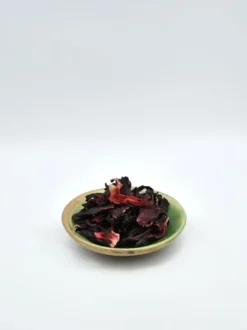 Hibiskus kwiat