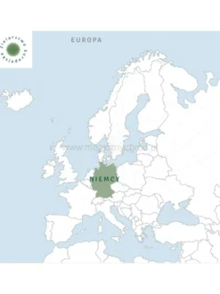 Jeżówka wąskolistna korzeń