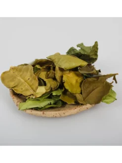 Kaffir