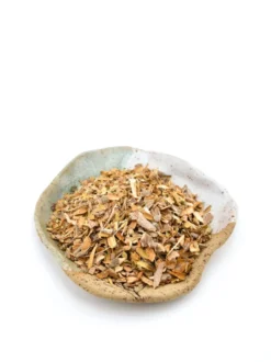 Kalina koralowa kora