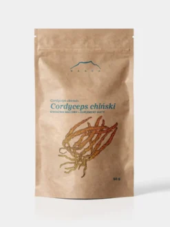 Kordyceps w proszku