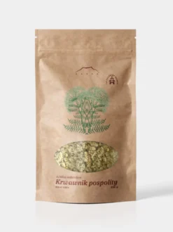 Krwawnik pospolity kwiat