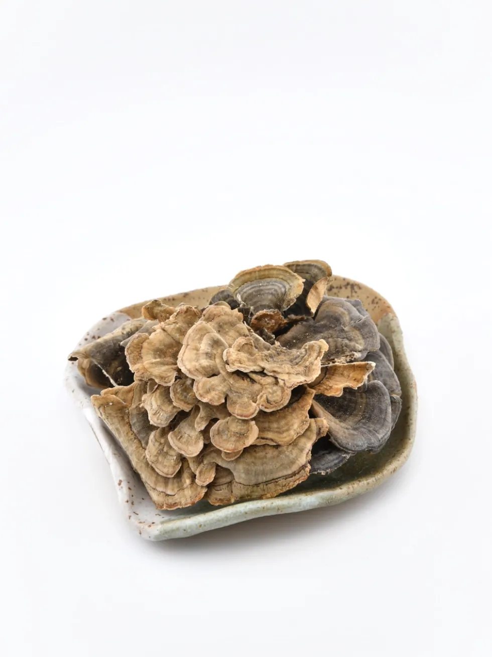 Maitake grzyb
