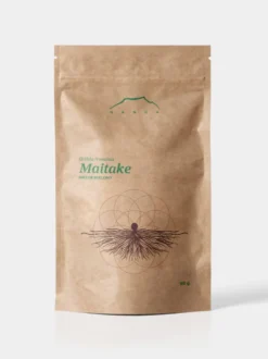 Maitake grzyb