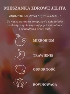 Mieszanka Zdrowe Jelita
