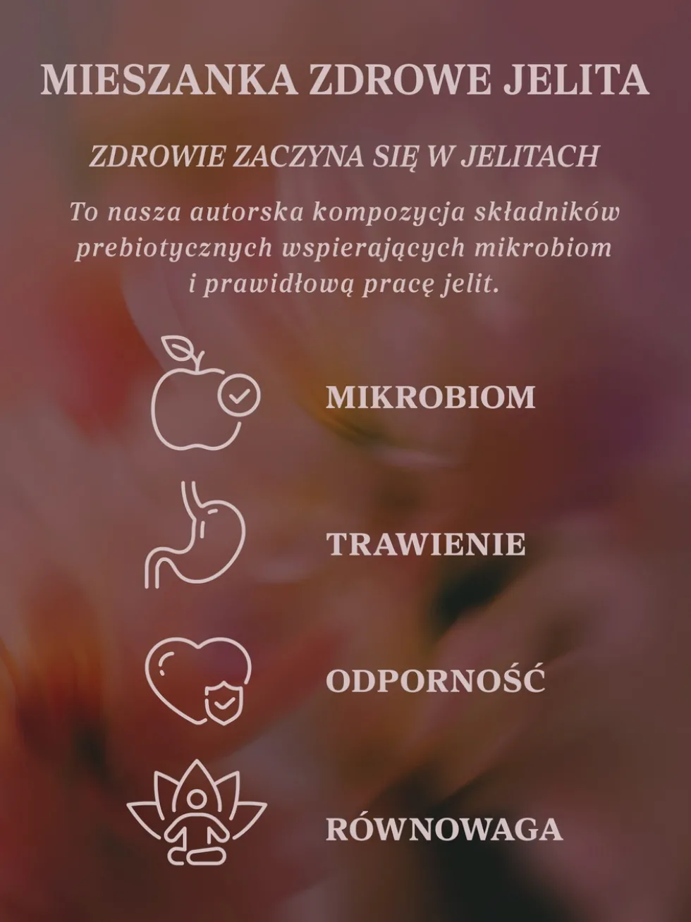 Mieszanka Zdrowe Jelita