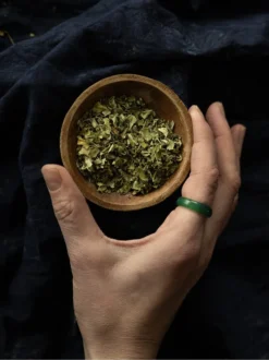 Moringa liść