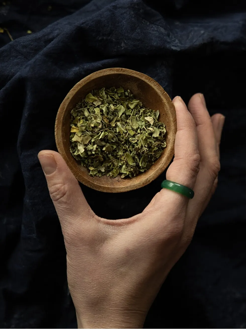 Moringa liść
