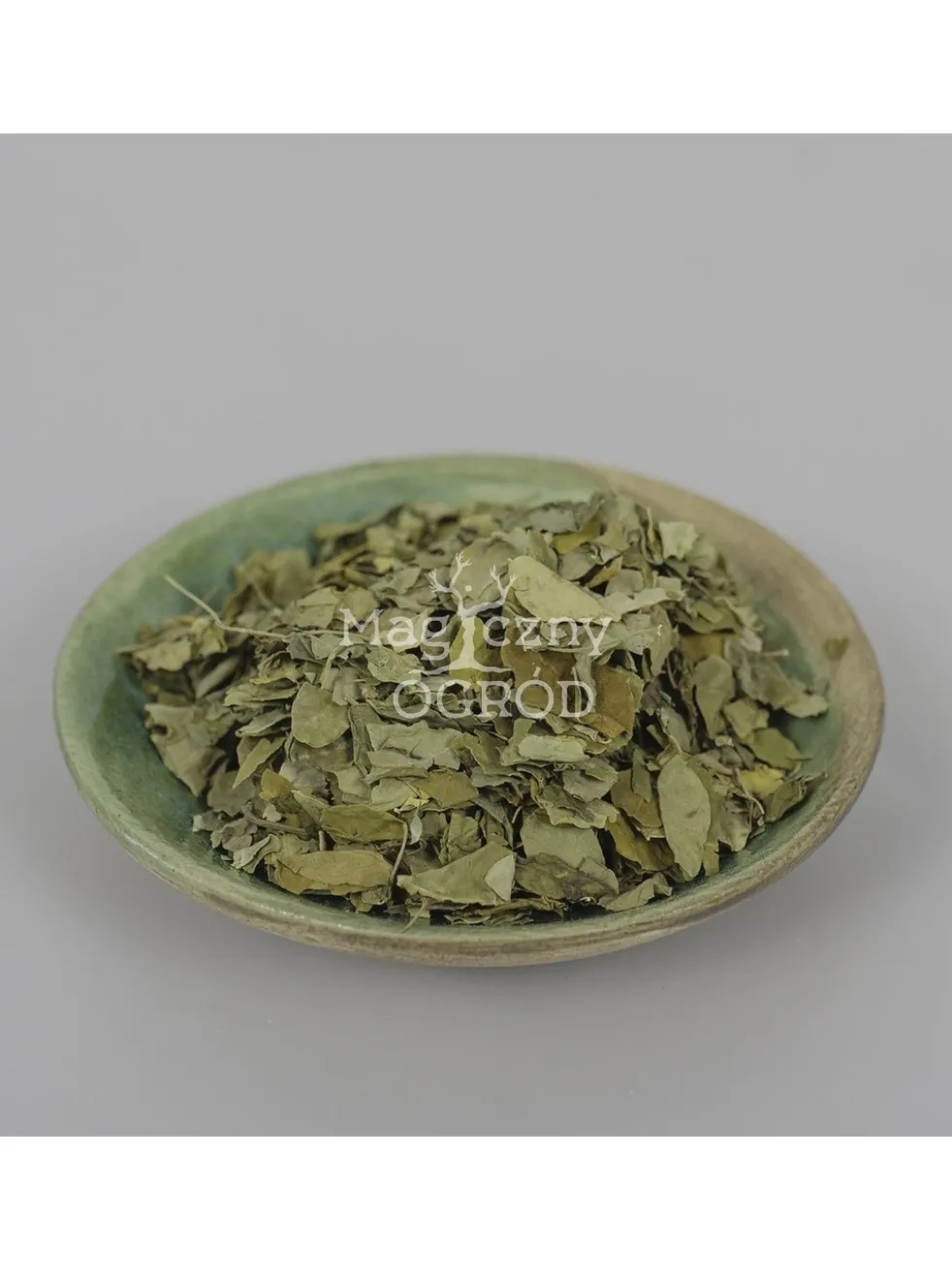 Moringa liść