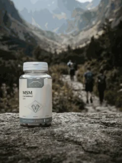 MSM z witaminą C 100 kapsułek x 600 mg