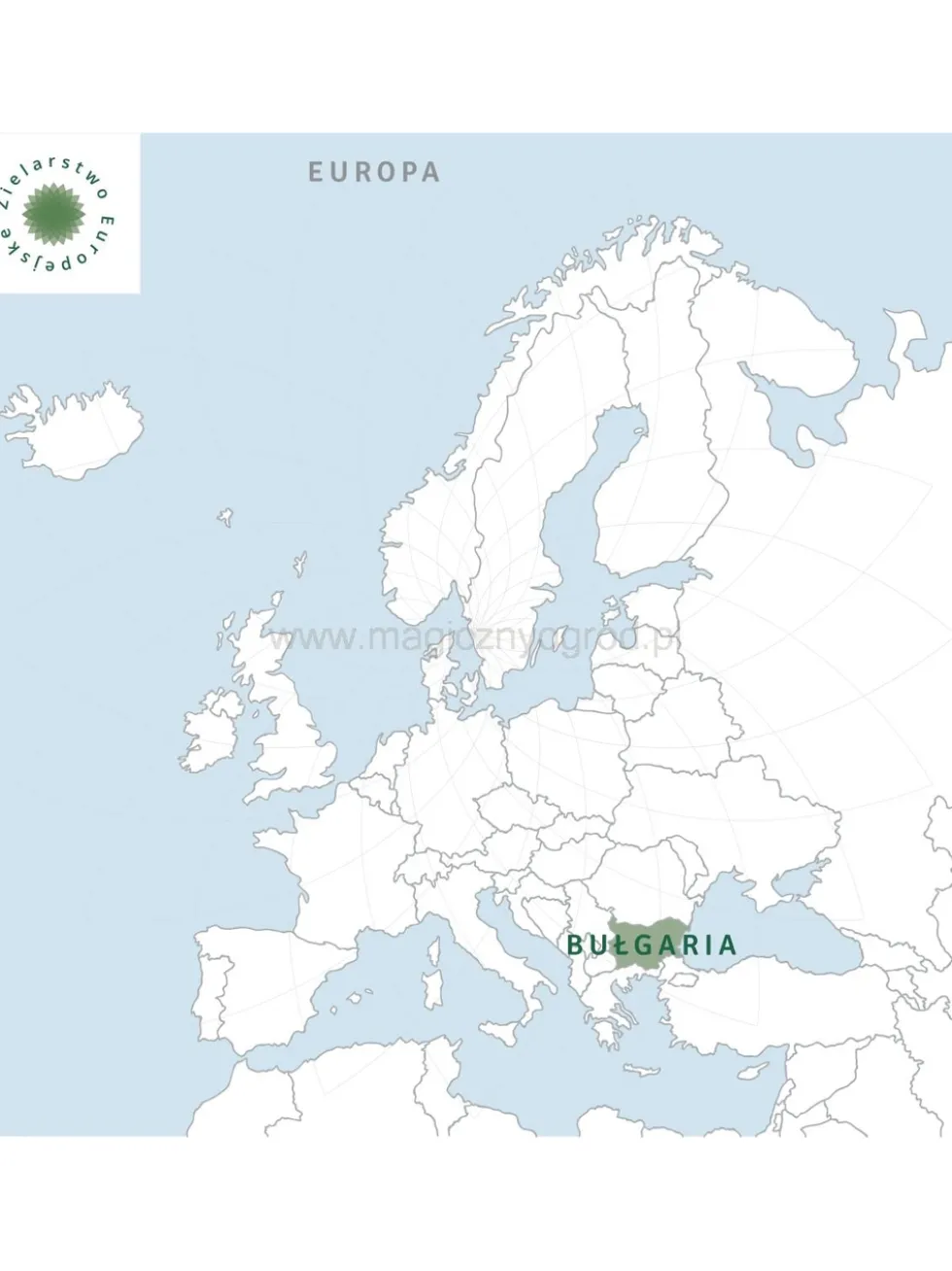 Olejek pichtowy (z jodły syberyjskiej) 100% eteryczny Nanga