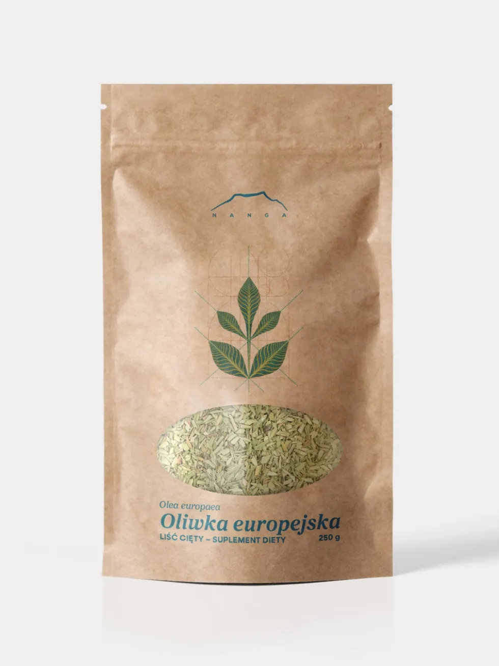 Oliwka europejska liść