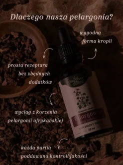 Pelargonia afrykańska wyciąg ziołowy 1:5