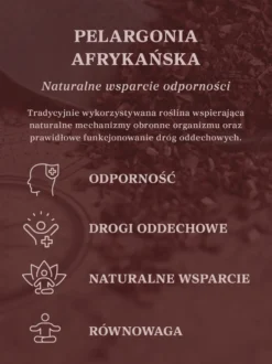 Pelargonia afrykańska wyciąg ziołowy 1:5