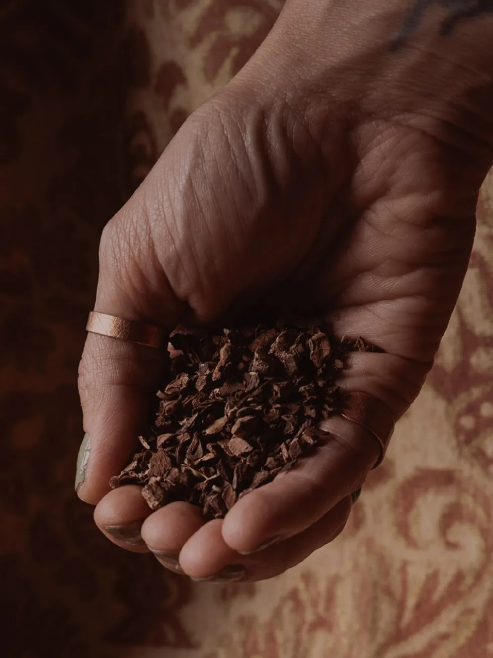 Pelargonia afrykańska wyciąg ziołowy 1:5