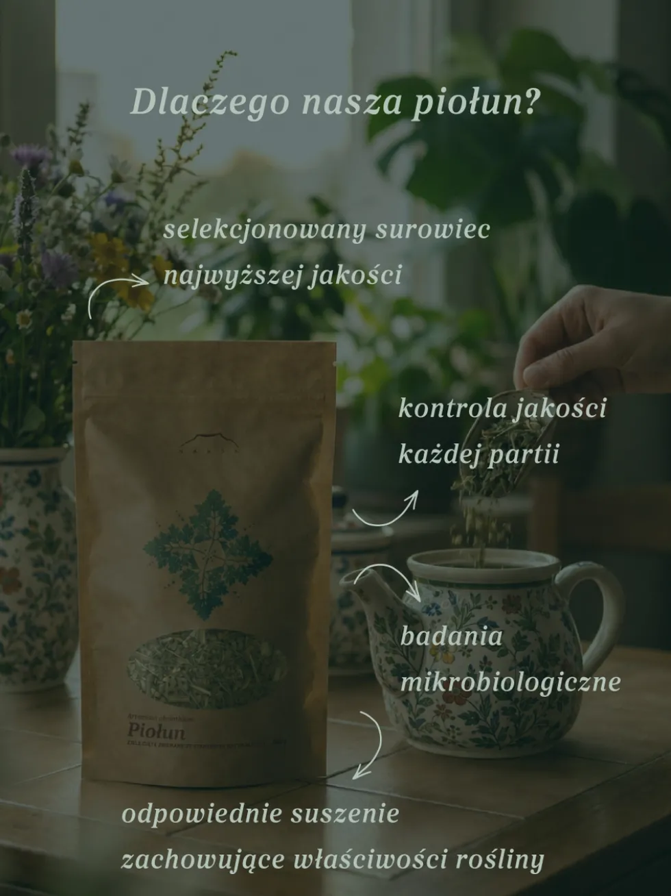 Piołun ziele