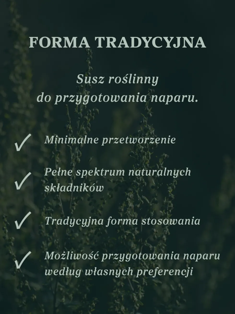 Piołun ziele