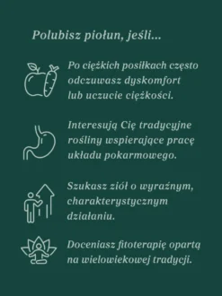 Piołun ziele