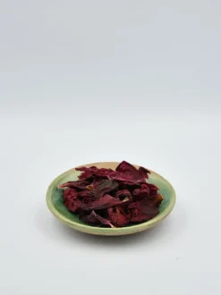 Piwonia kwiat