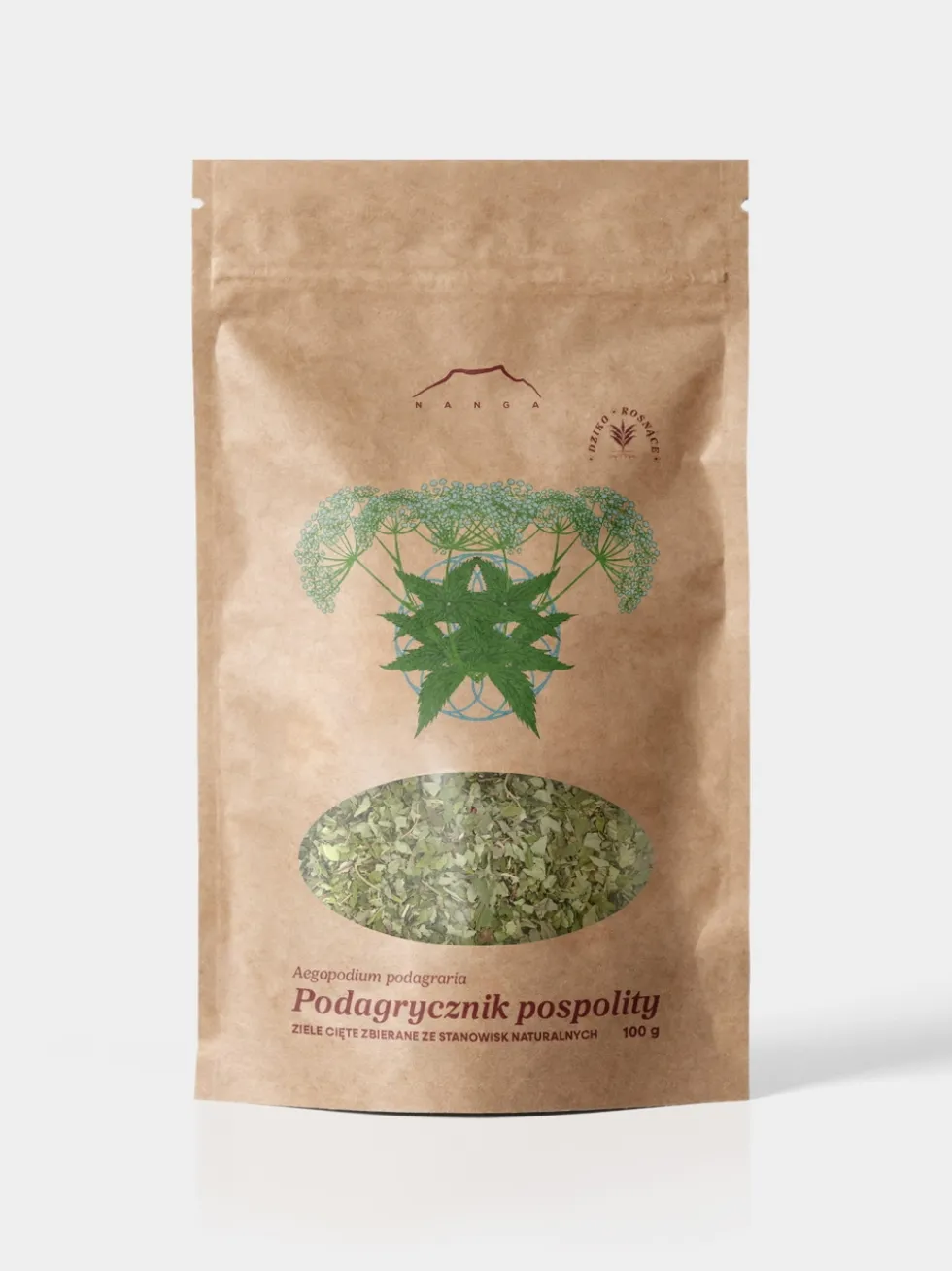 Podagrycznik ziele